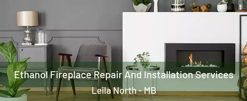  Ethanol Fireplace Repair And Installation Services Leila North - MB
