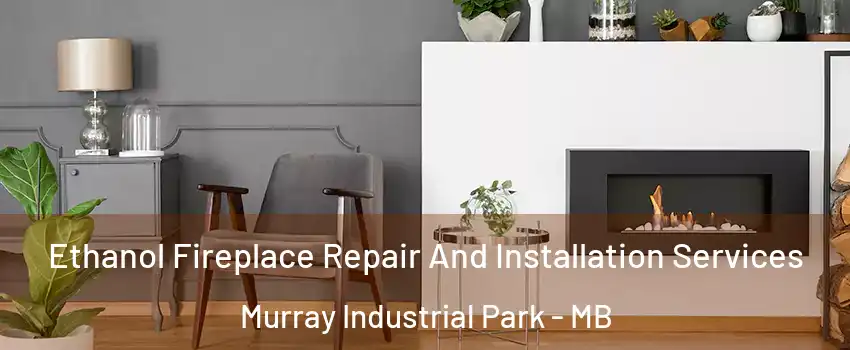  Ethanol Fireplace Repair And Installation Services Murray Industrial Park - MB