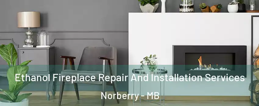  Ethanol Fireplace Repair And Installation Services Norberry - MB