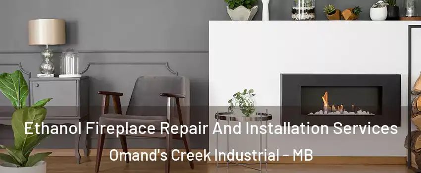  Ethanol Fireplace Repair And Installation Services Omand's Creek Industrial - MB