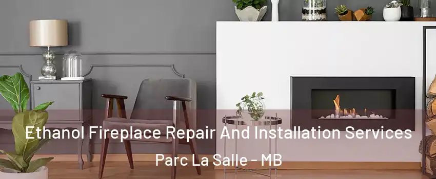  Ethanol Fireplace Repair And Installation Services Parc La Salle - MB
