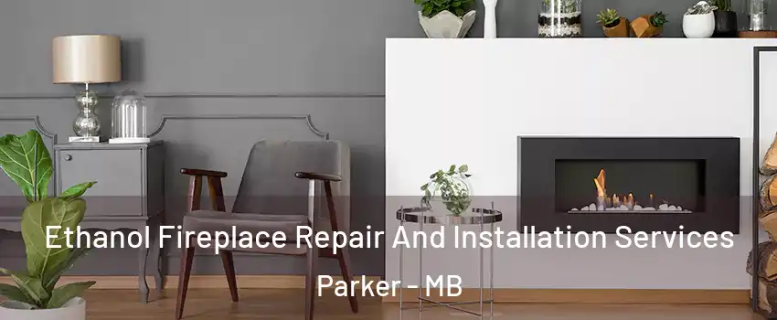  Ethanol Fireplace Repair And Installation Services Parker - MB