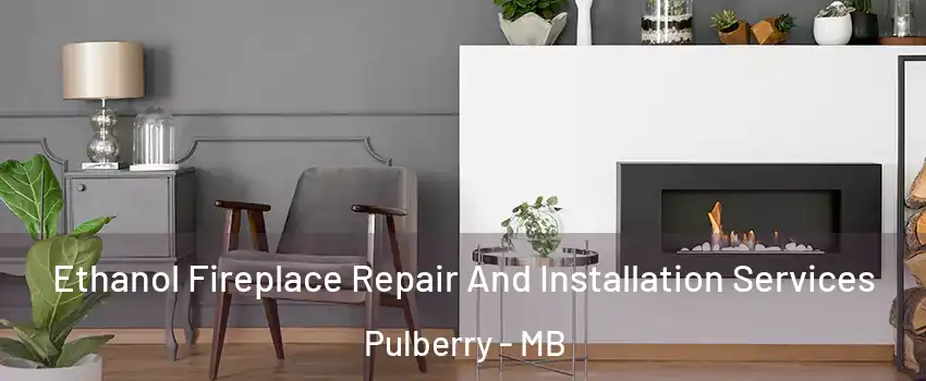  Ethanol Fireplace Repair And Installation Services Pulberry - MB