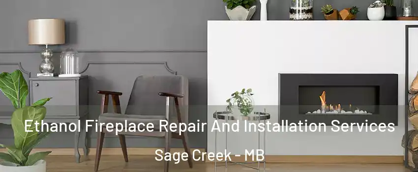  Ethanol Fireplace Repair And Installation Services Sage Creek - MB