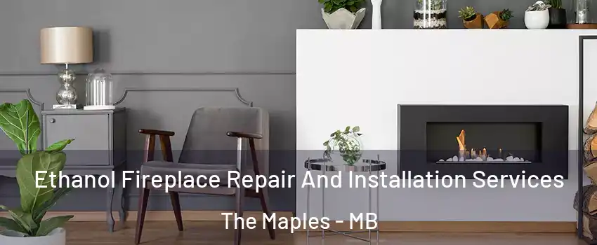  Ethanol Fireplace Repair And Installation Services The Maples - MB