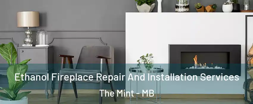  Ethanol Fireplace Repair And Installation Services The Mint - MB