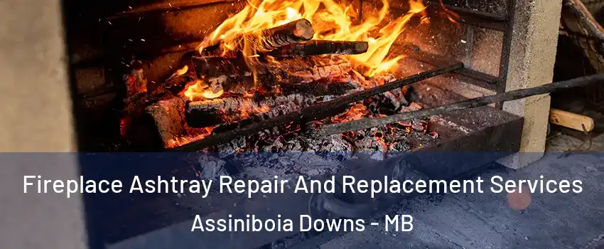  Fireplace Ashtray Repair And Replacement Services Assiniboia Downs - MB