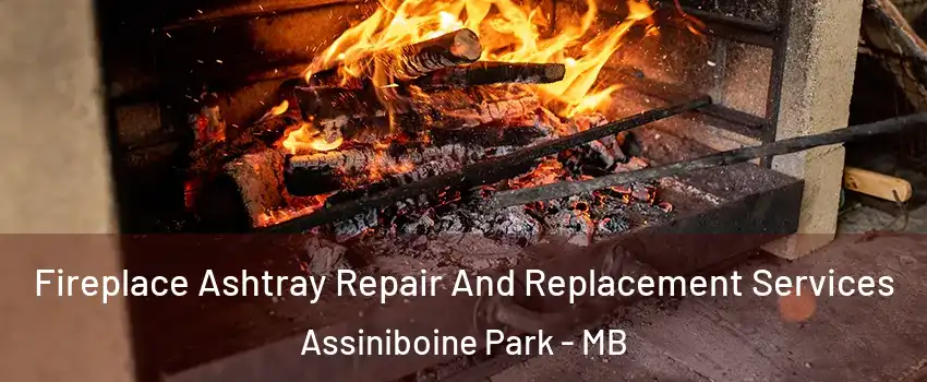  Fireplace Ashtray Repair And Replacement Services Assiniboine Park - MB