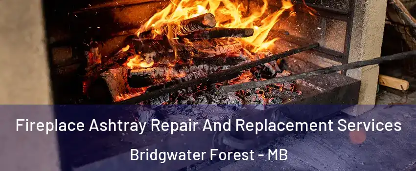 Fireplace Ashtray Repair And Replacement Services Bridgwater Forest - MB