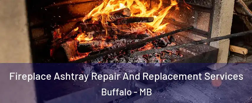  Fireplace Ashtray Repair And Replacement Services Buffalo - MB