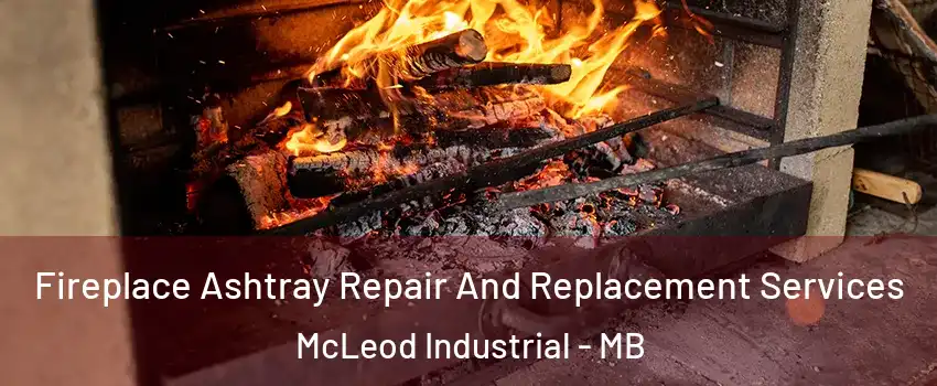  Fireplace Ashtray Repair And Replacement Services McLeod Industrial - MB