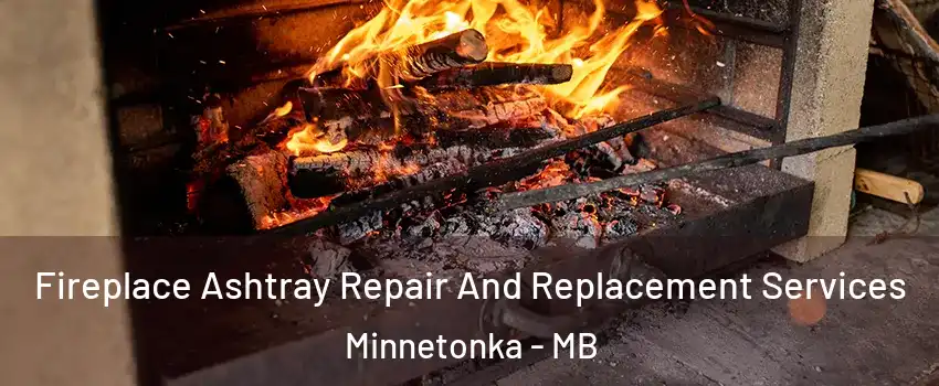  Fireplace Ashtray Repair And Replacement Services Minnetonka - MB