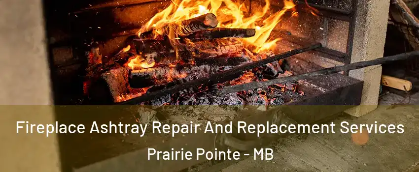  Fireplace Ashtray Repair And Replacement Services Prairie Pointe - MB