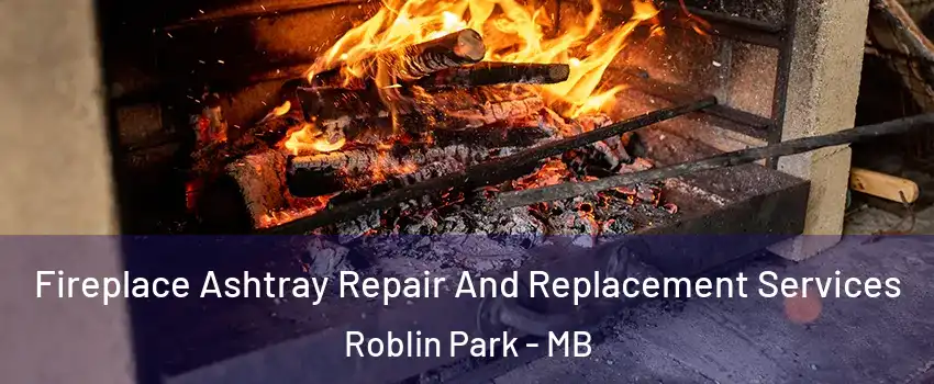  Fireplace Ashtray Repair And Replacement Services Roblin Park - MB