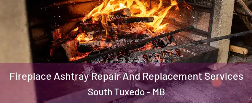  Fireplace Ashtray Repair And Replacement Services South Tuxedo - MB
