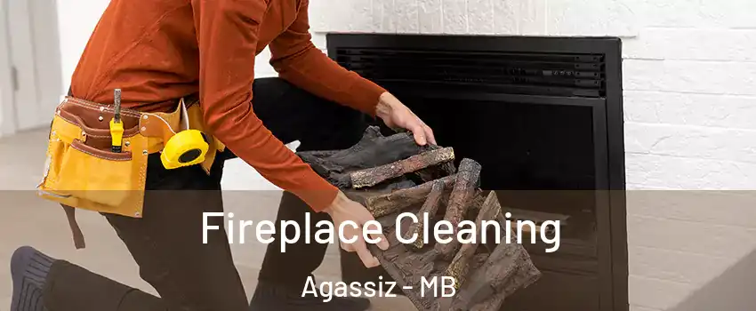  Fireplace Cleaning Agassiz - MB