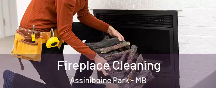 Fireplace Cleaning Assiniboine Park - MB
