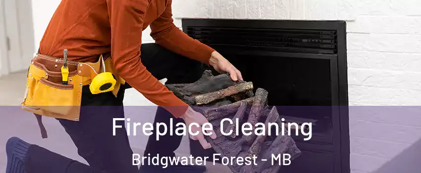  Fireplace Cleaning Bridgwater Forest - MB