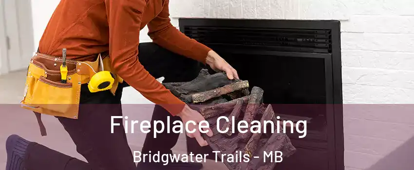  Fireplace Cleaning Bridgwater Trails - MB