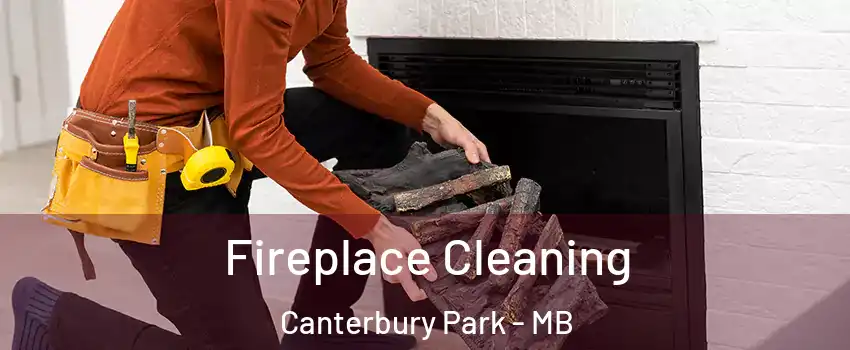  Fireplace Cleaning Canterbury Park - MB