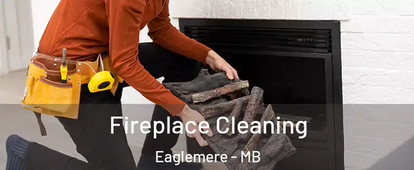  Fireplace Cleaning Eaglemere - MB