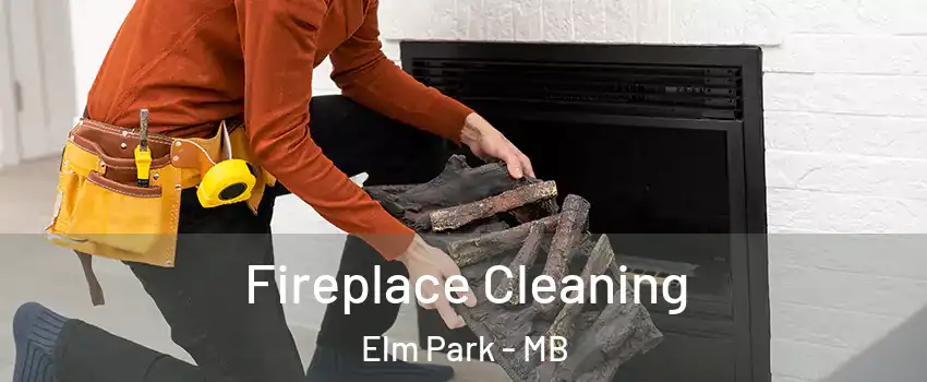  Fireplace Cleaning Elm Park - MB