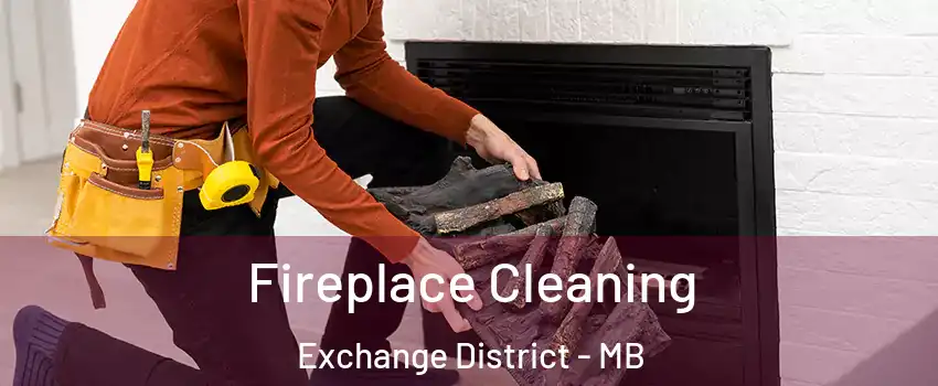  Fireplace Cleaning Exchange District - MB