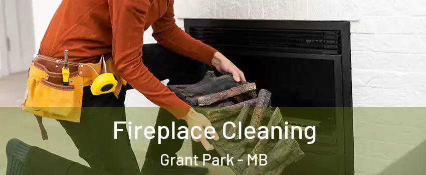  Fireplace Cleaning Grant Park - MB