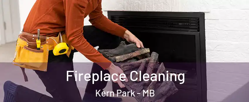  Fireplace Cleaning Kern Park - MB