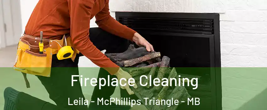  Fireplace Cleaning Leila - McPhillips Triangle - MB