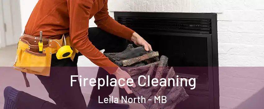  Fireplace Cleaning Leila North - MB