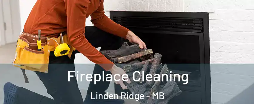  Fireplace Cleaning Linden Ridge - MB
