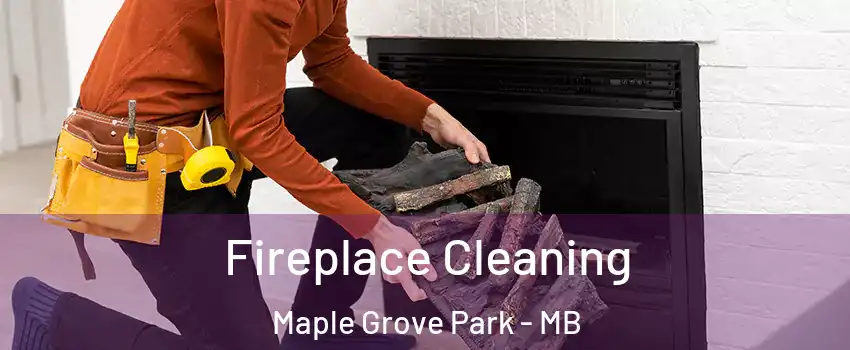  Fireplace Cleaning Maple Grove Park - MB