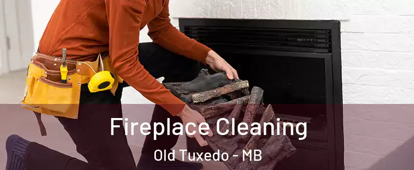  Fireplace Cleaning Old Tuxedo - MB