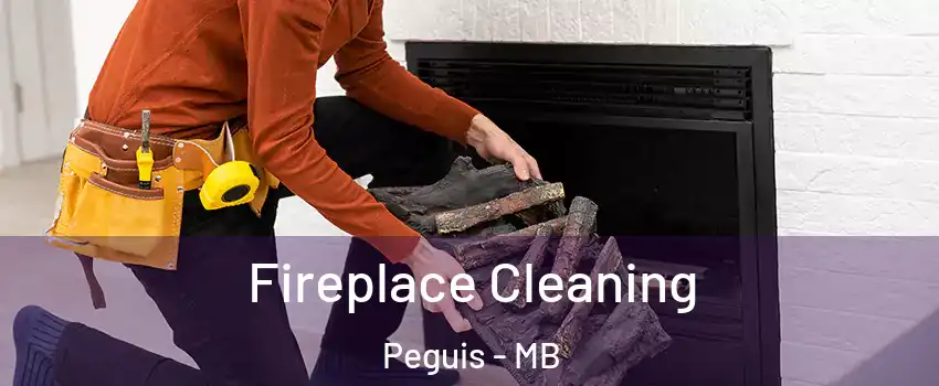  Fireplace Cleaning Peguis - MB