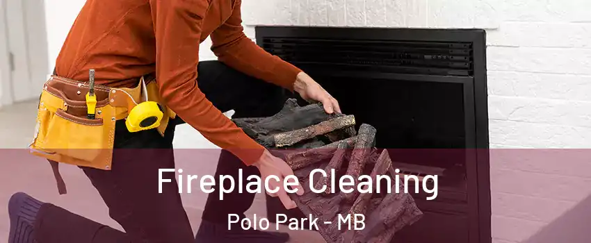  Fireplace Cleaning Polo Park - MB