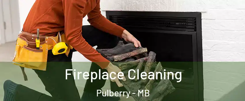  Fireplace Cleaning Pulberry - MB