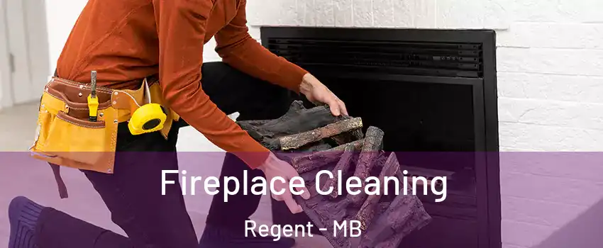  Fireplace Cleaning Regent - MB