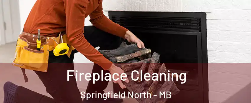  Fireplace Cleaning Springfield North - MB