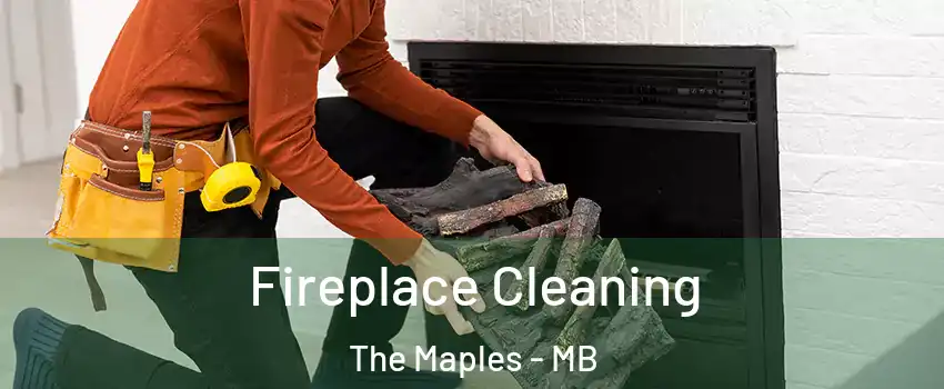  Fireplace Cleaning The Maples - MB