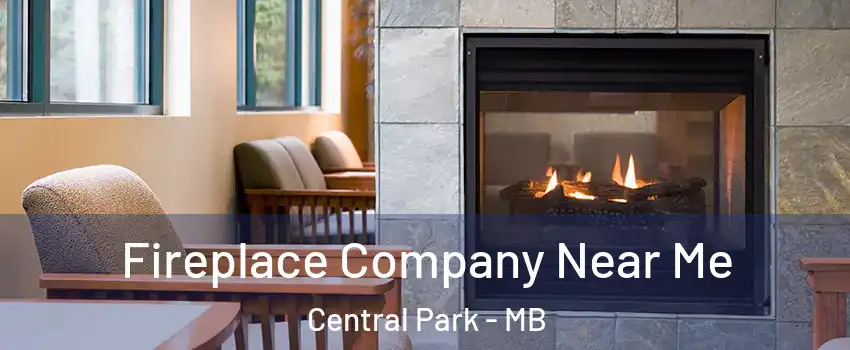  Fireplace Company Near Me Central Park - MB