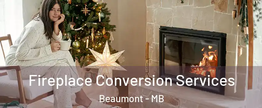  Fireplace Conversion Services Beaumont - MB