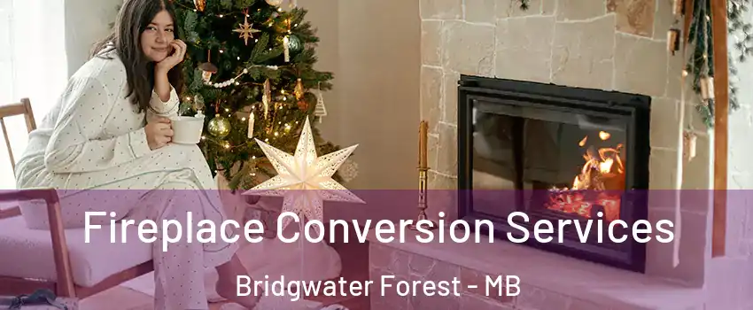  Fireplace Conversion Services Bridgwater Forest - MB