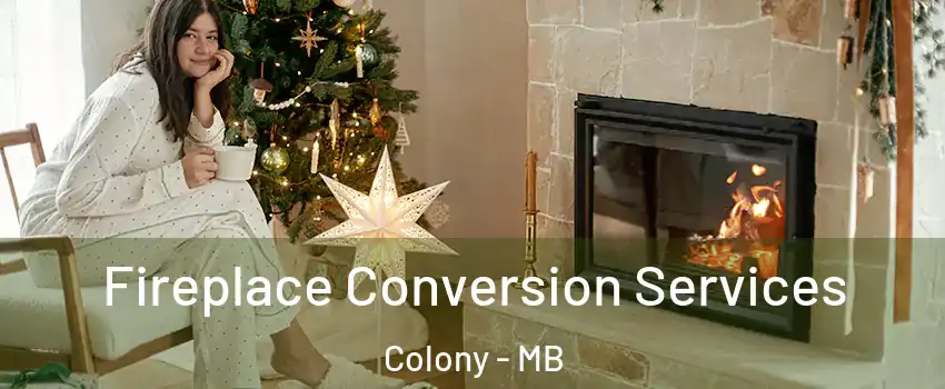  Fireplace Conversion Services Colony - MB