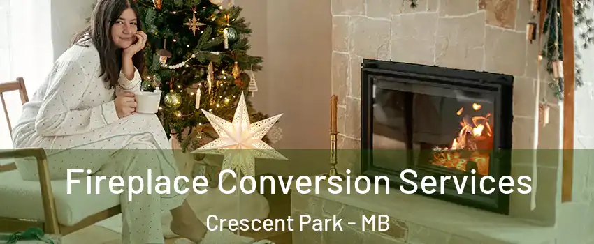  Fireplace Conversion Services Crescent Park - MB