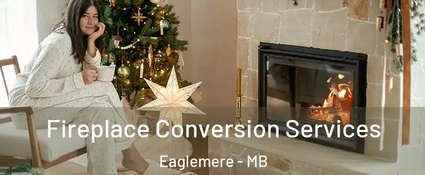  Fireplace Conversion Services Eaglemere - MB