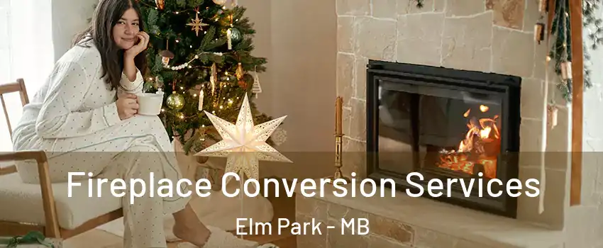  Fireplace Conversion Services Elm Park - MB