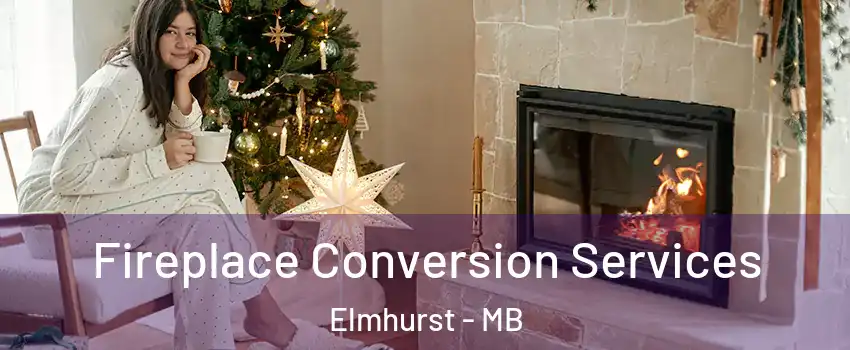  Fireplace Conversion Services Elmhurst - MB