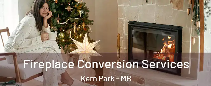  Fireplace Conversion Services Kern Park - MB