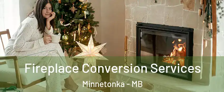  Fireplace Conversion Services Minnetonka - MB
